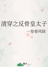 穿越之反清复明