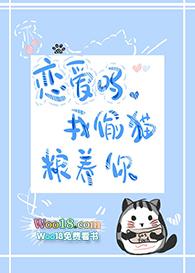 小叔追妻火葬场 情节女主出国