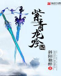 紫青龙吟记游戏