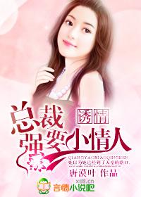 噬心总裁情难自禁霍南天完整