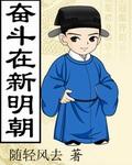 奋斗在新明朝介绍