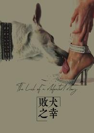 败犬之书著