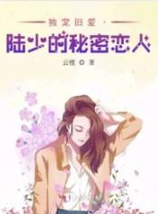 独宠旧爱陆少的秘密正版