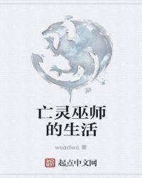 亡灵巫师最佳技能搭配