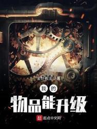 我的道具能升级
