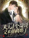 夫人惹不得全文免费阅读