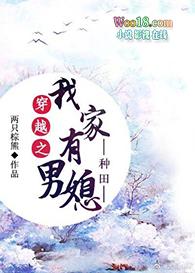 穿越之我家有男妻