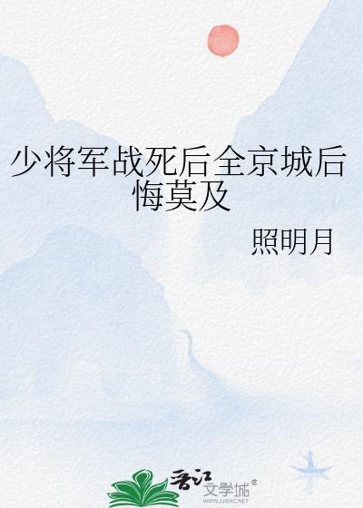 少将军是什么