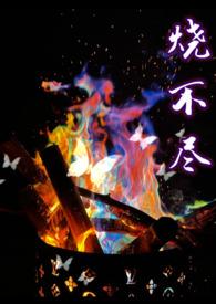 烧不尽by.