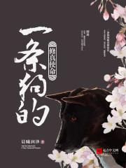 一条狗的使命(国语)