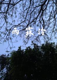 雨霖铃全部