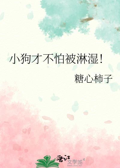 狗怕被雨淋吗