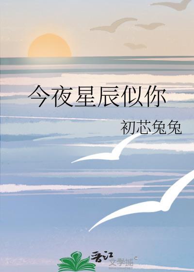 剧名叫今夜星辰似你