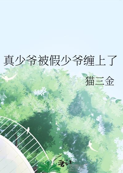 真少爷假少爷报复