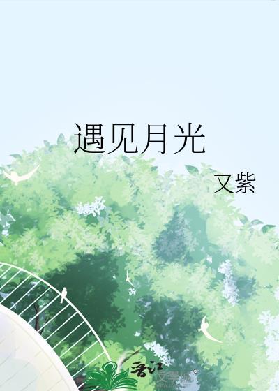 遇见月光又紫