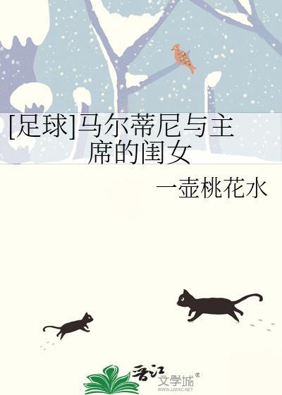 马尔蒂尼儿子