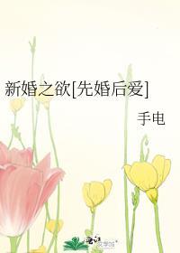 新婚之欲先婚后爱免费阅读全文
