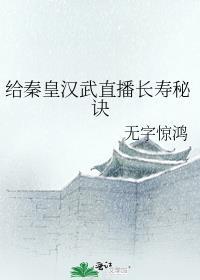 秦皇汉武 视频