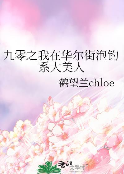 我在华尔街做资本无防盗