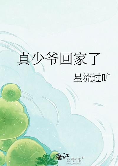 真少爷回家了星流过旷免费阅读