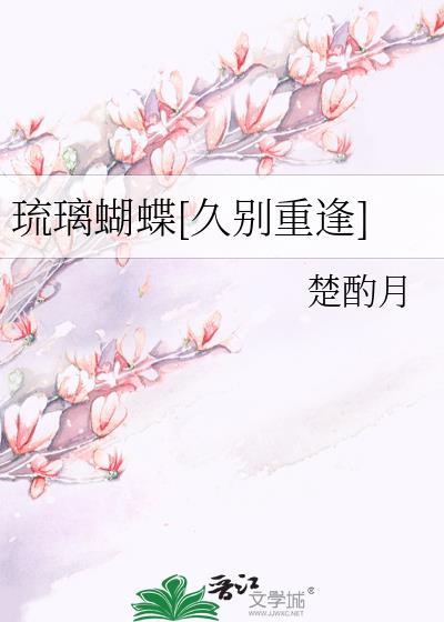 琉璃蝶错网