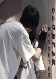 心肝与舔狗免费阅读TXT