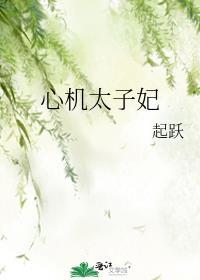 心机太子妃TXT百度