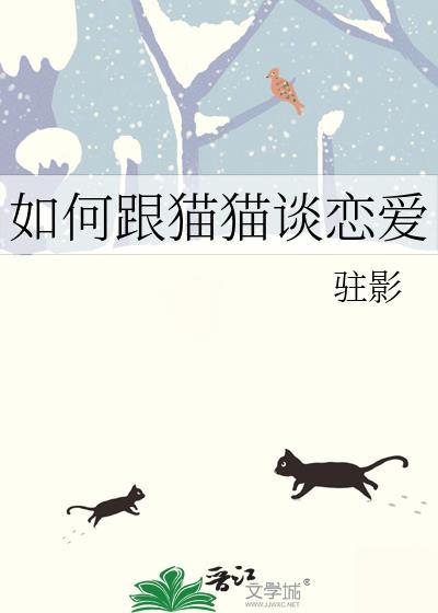 怎么和猫培养感情
