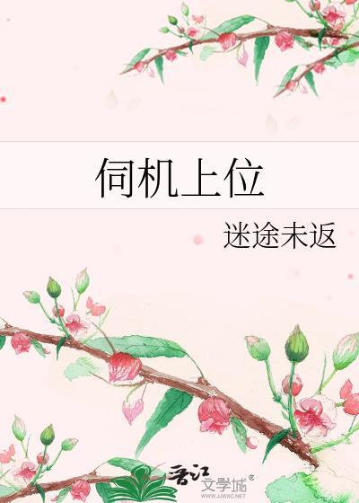 伺机是什么