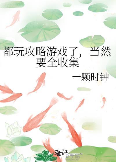 玩攻略是什么意思