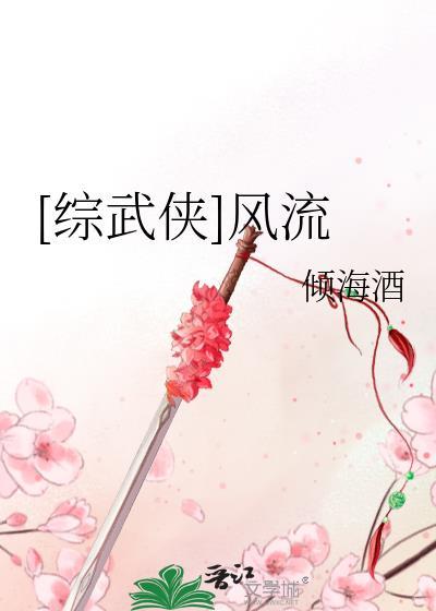 综武侠风云