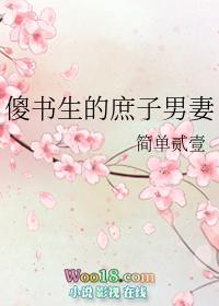 傻书生的庶子男妻晋江