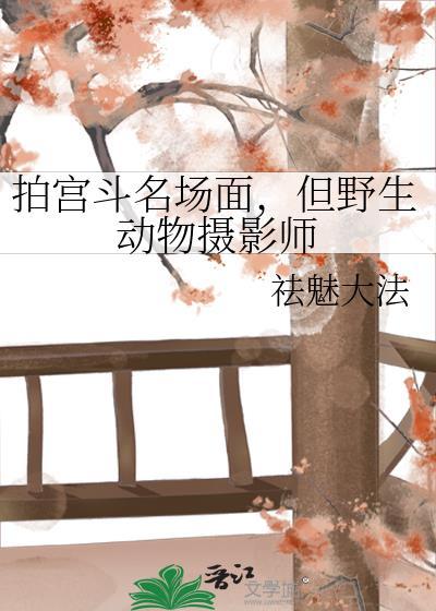 野生动物拍摄镜头