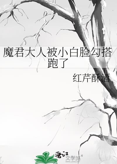 魔君大人被小白脸勾搭跑了讲什么故事