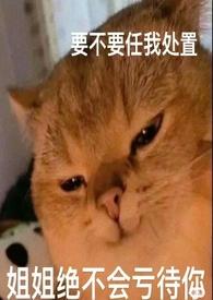 论女a与哨向的匹配程度