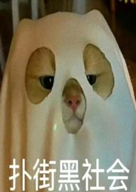 九龙城寨乙女她只是想