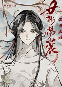 女扮男装嫁男扮女装的短剧叫什么