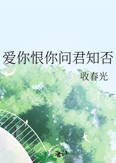爱你恨你问君知否免费阅读