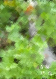 新芽newseed