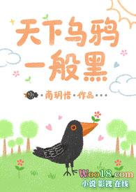 天下乌鸦一般黑的下一句是什么
