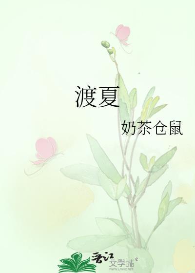 渡夏天讲的什么