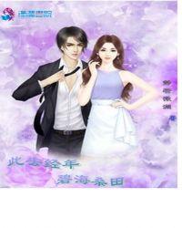 此去毕经年是什么歌