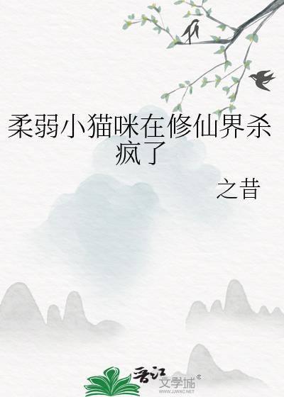 柔软的小猫咪