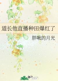 直播道长别装了你就是在修仙