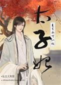 直男不可以做太子妃!晋江