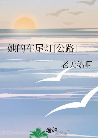 公路车尾包哪款好用