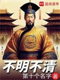 不清晰不明确不