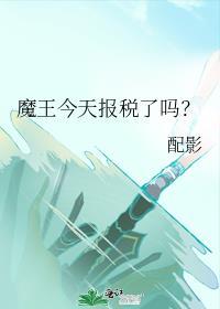 魔王今天报税了吗?番外
