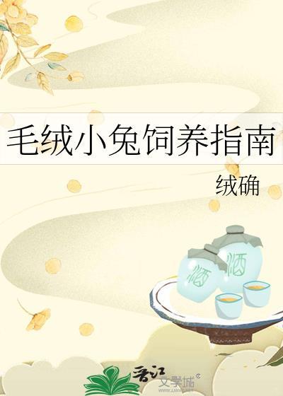 毛绒小兔饲养指南图片
