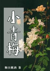 小青梅是甜的关醒言江巳